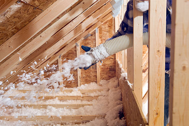 Best Weatherproofing Services  in Morristown, IN